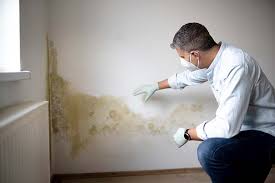 Best Biohazard Mold Removal  in Oakville, MO